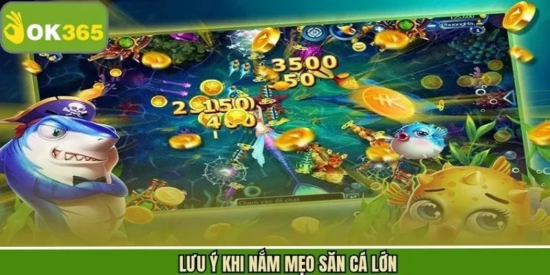 Lưu ý quan trọng cần nắm để tránh rủi ro không cần thiết